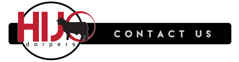 Contact Us